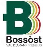 Bossost
